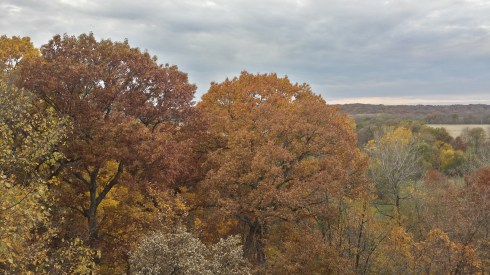 20141023_172415_Richtone(HDR)