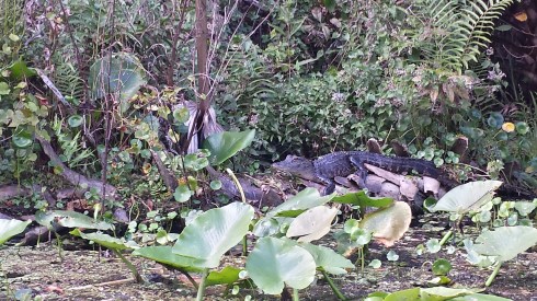 20141028_161413_Richtone(HDR)